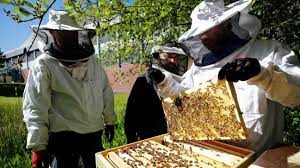 Днес е денят на пчеларите