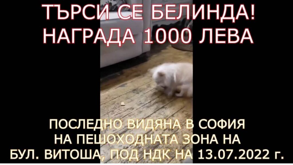 1000 лева ВЪЗНАГРАЖДЕНИЕ за Белинда!